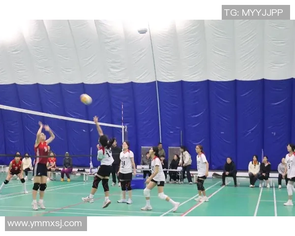 与刘娜畅谈排球生涯的辉煌与挑战之路