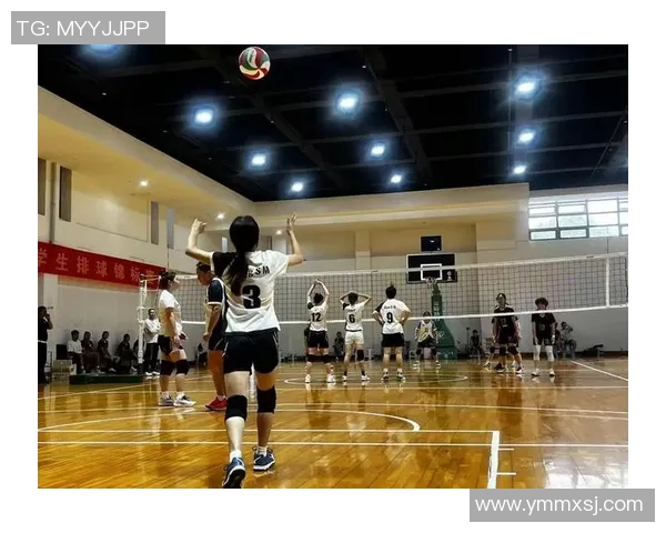 广州排球队的意识提升与团队协作探讨聚焦排球发展新方向