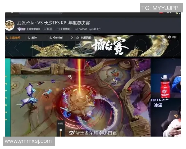 王者荣耀专题深度解析TES战队的节奏与战略布局
