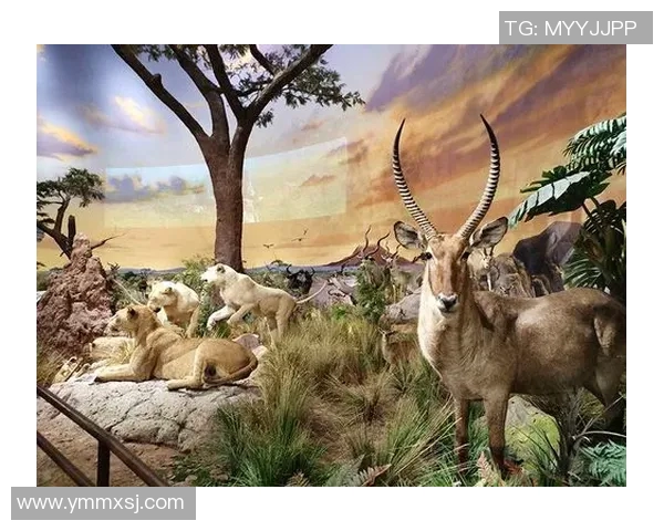 亲近自然，探索未知：开启全季户外活动之旅，畅享健康与冒险的完美结合