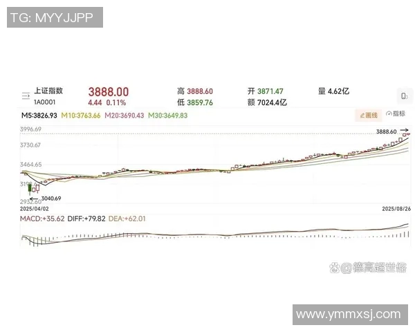 全球股市震荡加剧 美联储加息预期升温 中国经济数据引发市场关注
