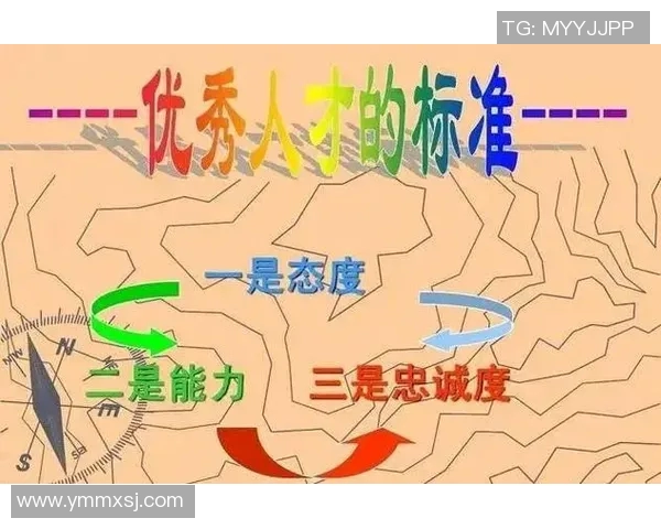 深圳攀岩队个人能力分析与提升策略探讨